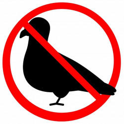 Dépigeonnage pour les particuliers