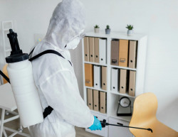 Entreprise anti-nuisibles pour particuliers