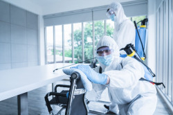 Désinsectiseur pour élimination de xylophages